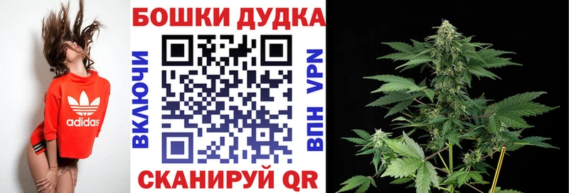 Где купить Лабинск Альфа ПВП  Амфетамин  Конопля  Галлюциногенные грибы  Меф  Cocaine 