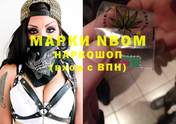 крисы Осинники